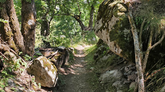 Stoneman Glaciara - Singletrail Bellwald