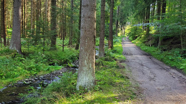 Stoneman Miriquidi - Weg Anfang Fichtelberg