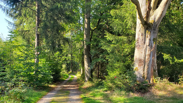 Stoneman Miriquidi - Weg Eibenstock