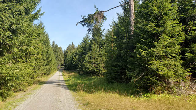 Stoneman Miriquidi - Weg Fichtelberg