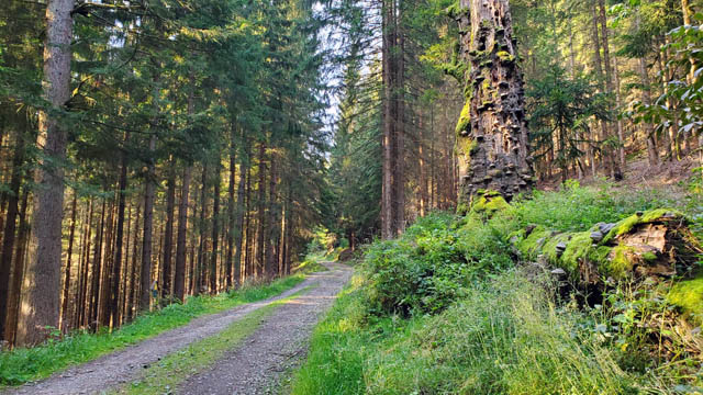 Stoneman Miriquidi - Weg zum Rabenberg