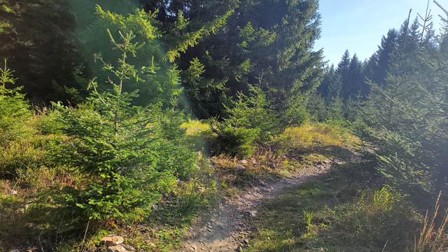 Stoneman Miriquidi - Weg Singletrail Rabenberg
