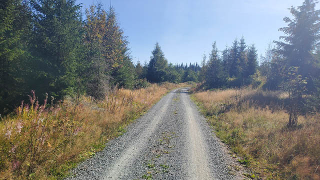 Stoneman Miriquidi - Weg Rittersgrün 2